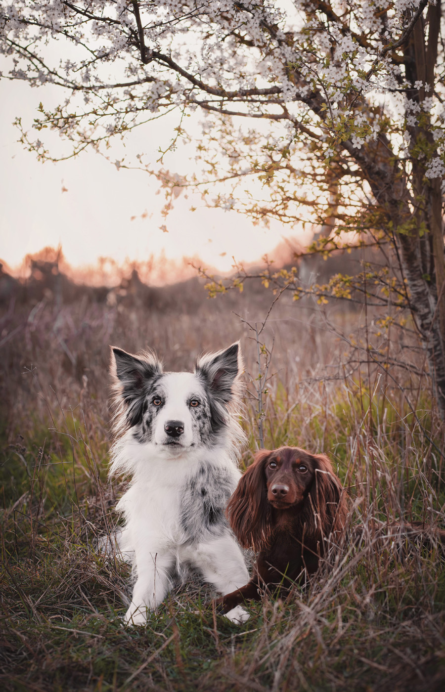 Manon Knasko Photographies